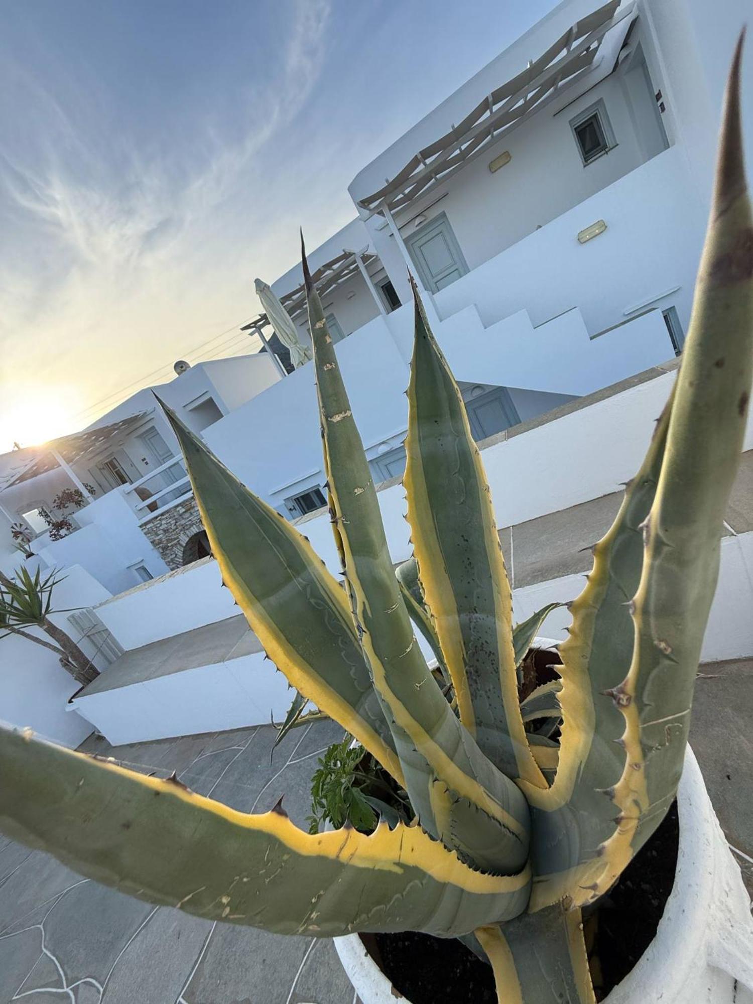 Kohylia Beach Guest House Platis Gialos  Bagian luar foto